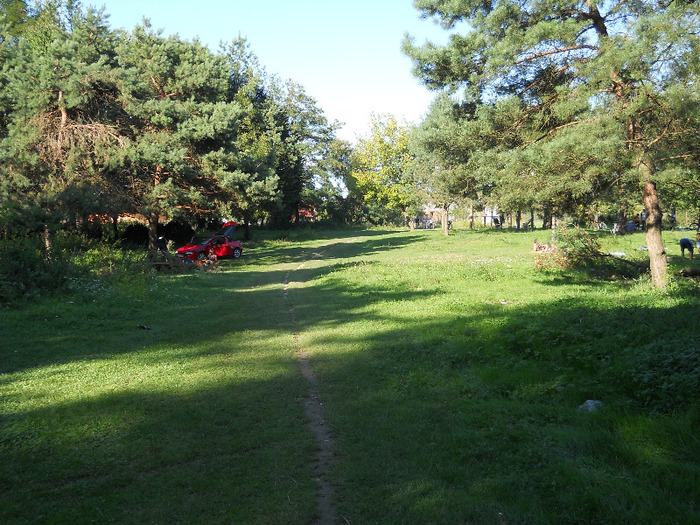 Picture (43) - baie de soare si nu numai