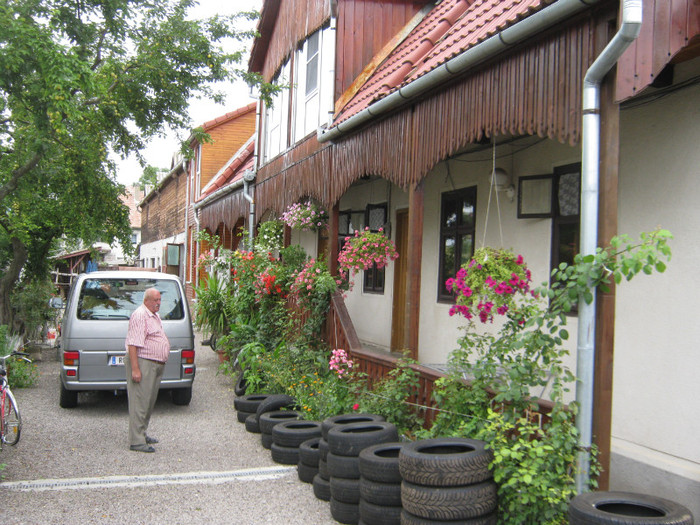 curtea si socrul curtea si socrul