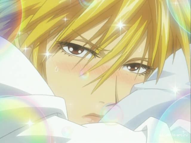 6064-64-optimize_d - The Wallflower