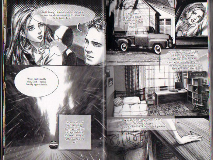 7 - Twilight the graphic novel
