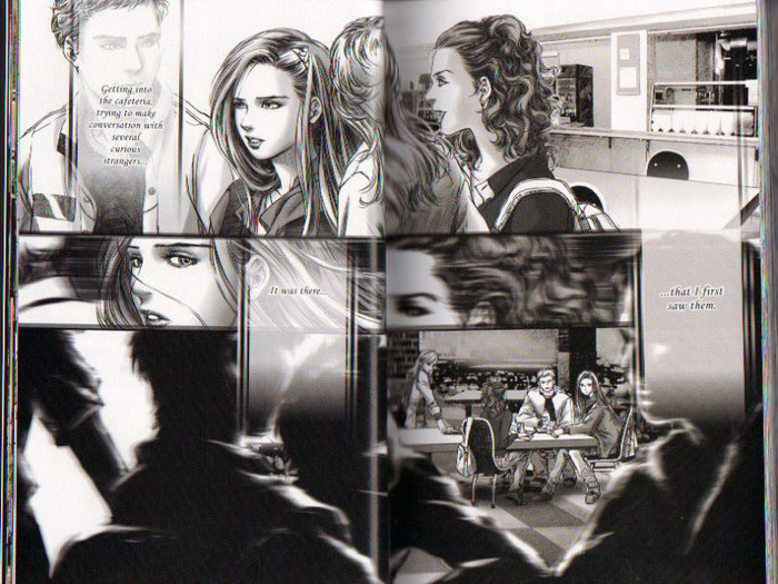 10 - Twilight the graphic novel