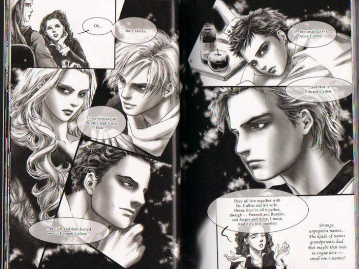 12 - Twilight the graphic novel