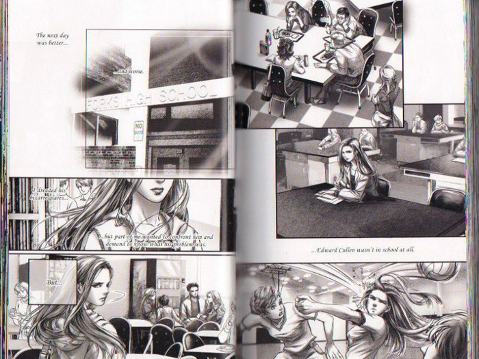18 - Twilight the graphic novel
