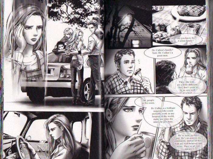 19 - Twilight the graphic novel