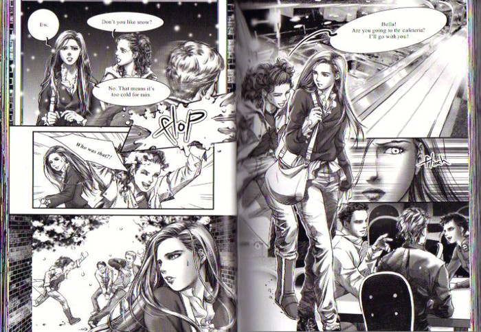 21 - Twilight the graphic novel