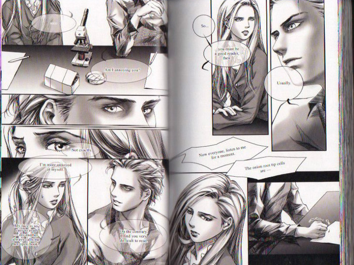 26 - Twilight the graphic novel