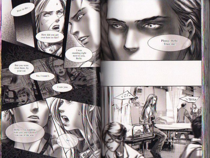 30 - Twilight the graphic novel