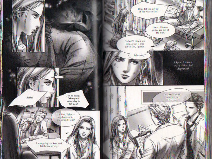 31 - Twilight the graphic novel