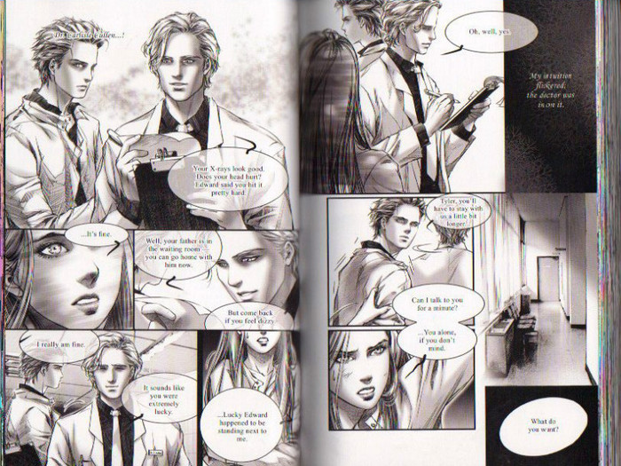 32 - Twilight the graphic novel