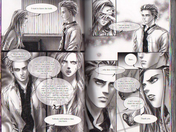 33 - Twilight the graphic novel