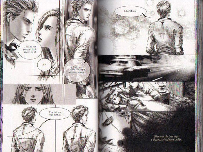 34 - Twilight the graphic novel