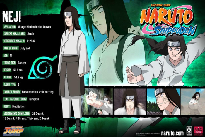 Neji - Naruto Info Cards
