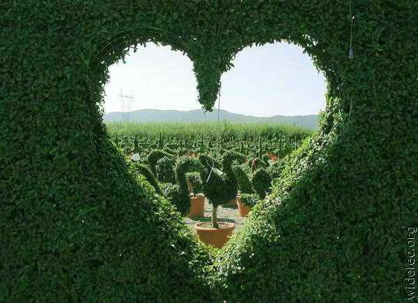 69055718018418828751