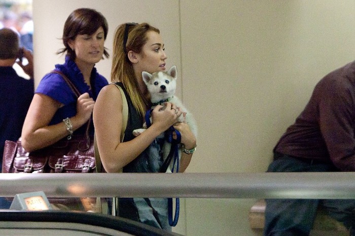 001 - 0-0At LAX Airport With Her New Puppy