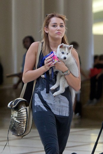 005 - 0-0At LAX Airport With Her New Puppy