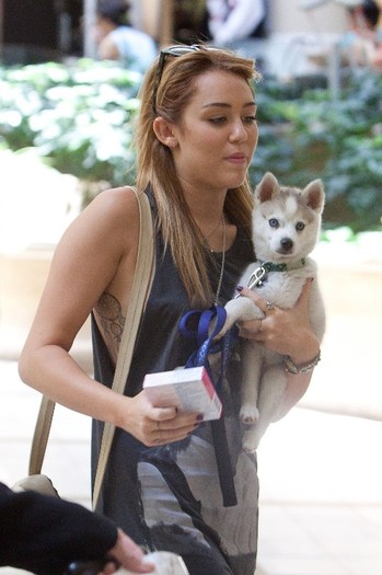 008 - 0-0At LAX Airport With Her New Puppy