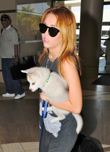 021 - 0-0At LAX Airport With Her New Puppy