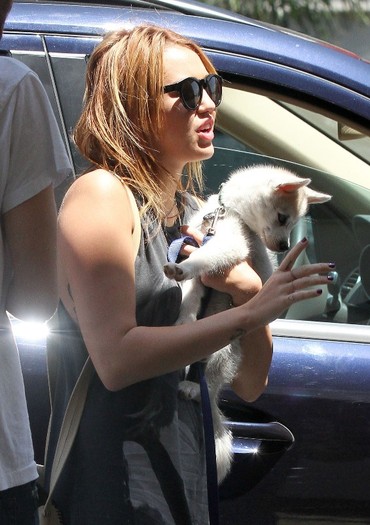 041 - 0-0At LAX Airport With Her New Puppy