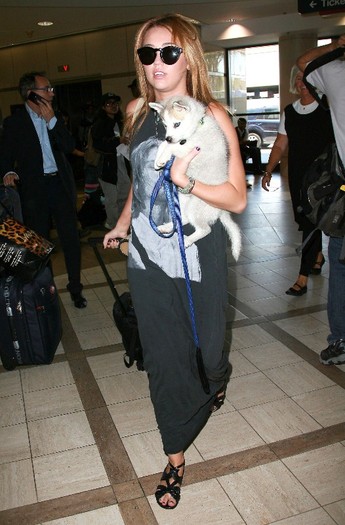 066 - 0-0At LAX Airport With Her New Puppy