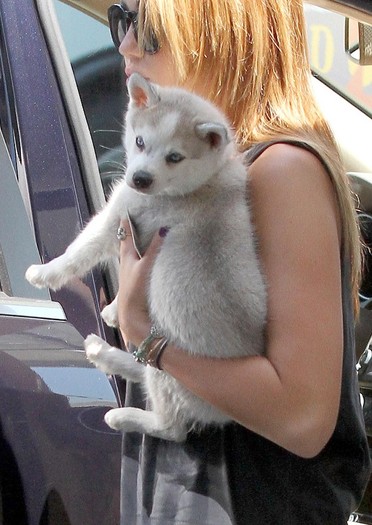 073 - 0-0At LAX Airport With Her New Puppy