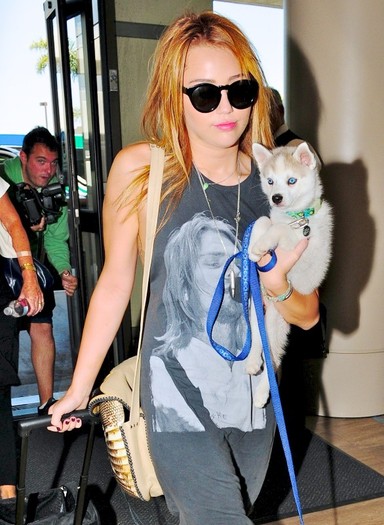082 - 0-0At LAX Airport With Her New Puppy