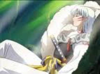 34921739_BUCCODJGR - sesshomaru