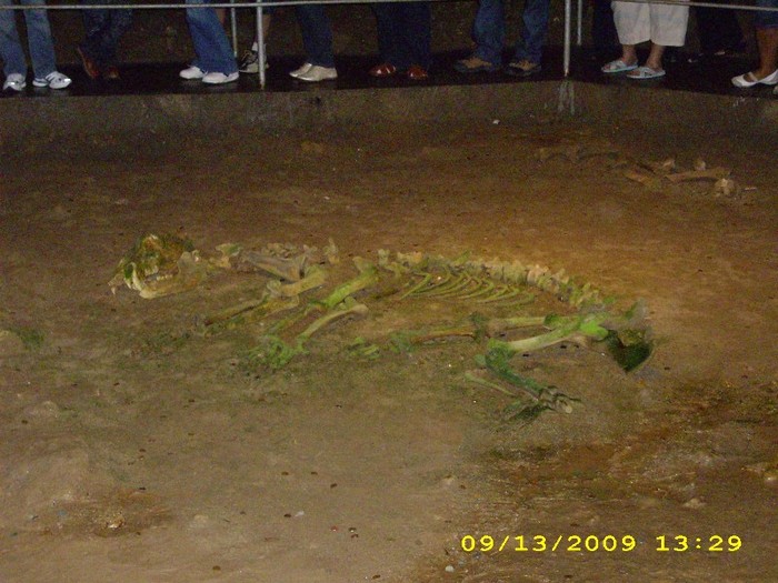 Pestera Ursilor-Medvebarlang, BH - Places i ve visited