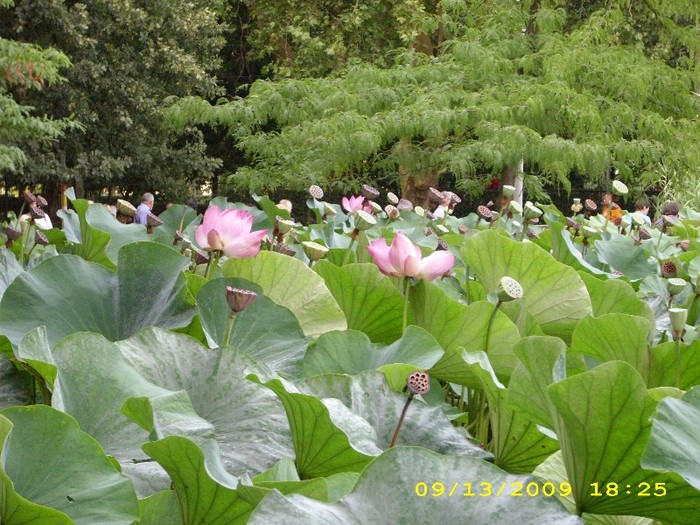 Felix, Bh - Places i ve visited