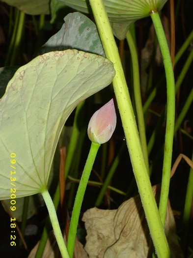 Felix, Bh - Places i ve visited