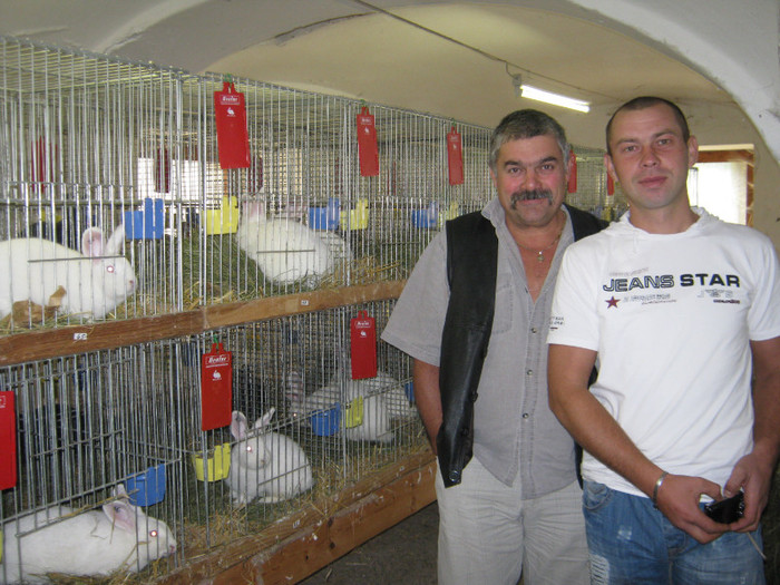 asistam la un albitraj - 4atentie cind cumparati iepuri