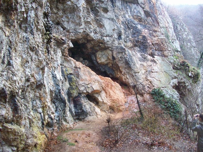 Vadu Crisului