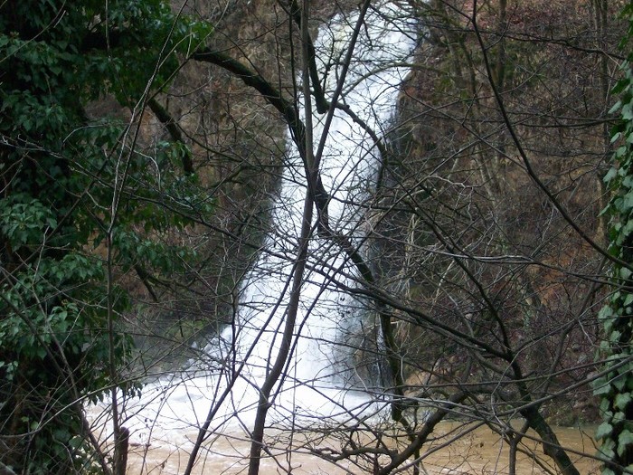 Vadu Crisului