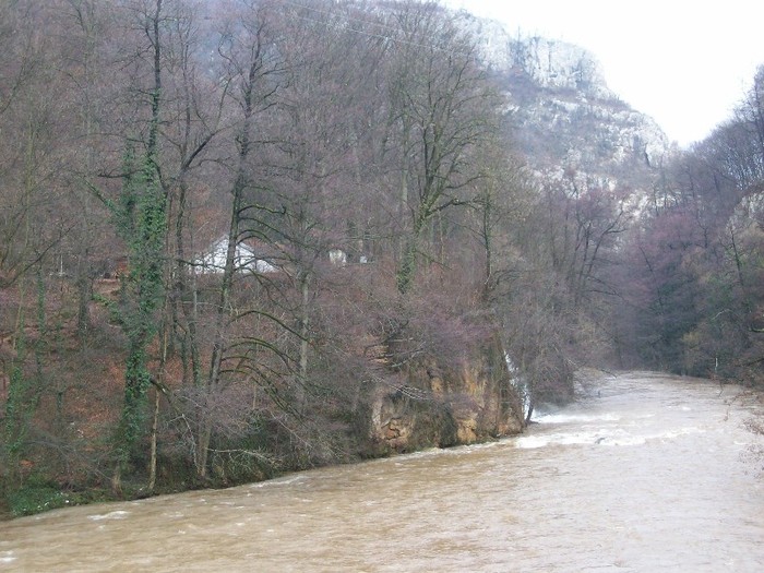 Vadu Crisului