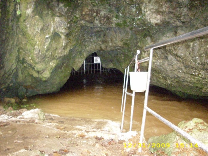 Vadu Crisului