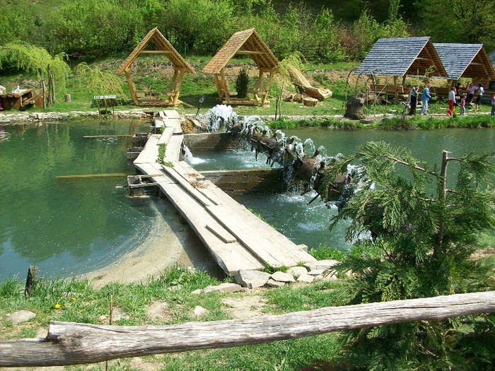 Pastravarie-Maramures