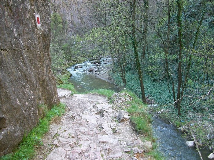 Cheile Turzii