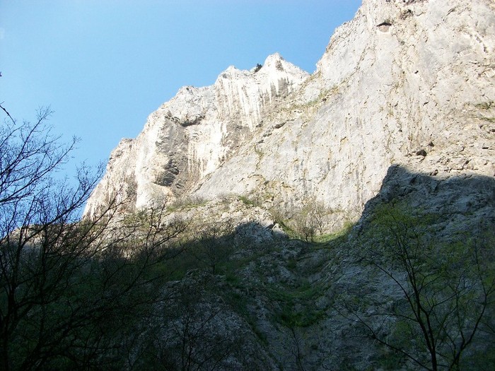 Cheile Turzii