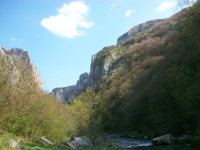 Cheile Turzii