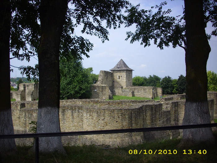 Cetatea de scaun-Suceava