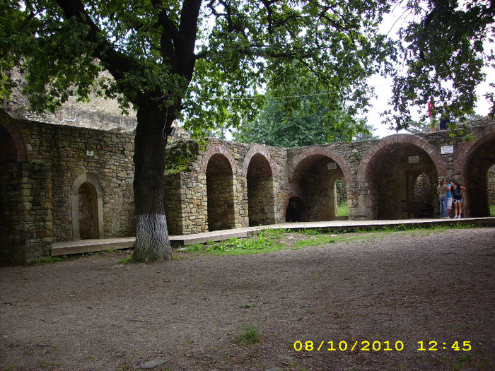Cetatea de scaun-Suceava