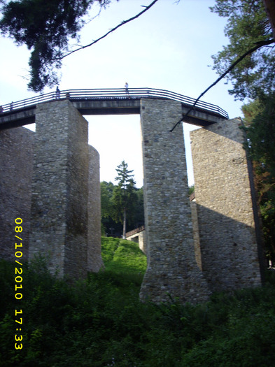 Cetatea Neamtului