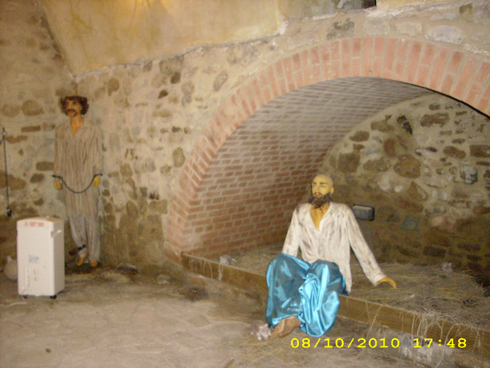 Cetatea Neamtului