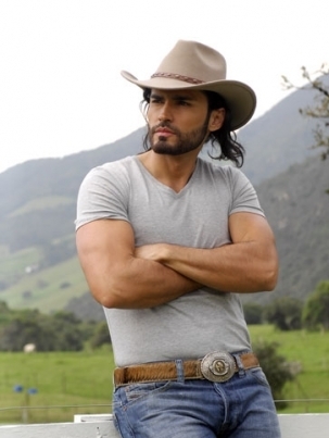 fabanrosesgaspardelmont