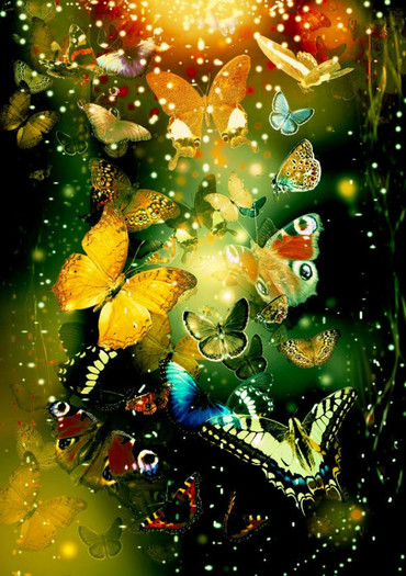 Butterflies_by_TretyakOVKa - wallpapere artistice fluturi