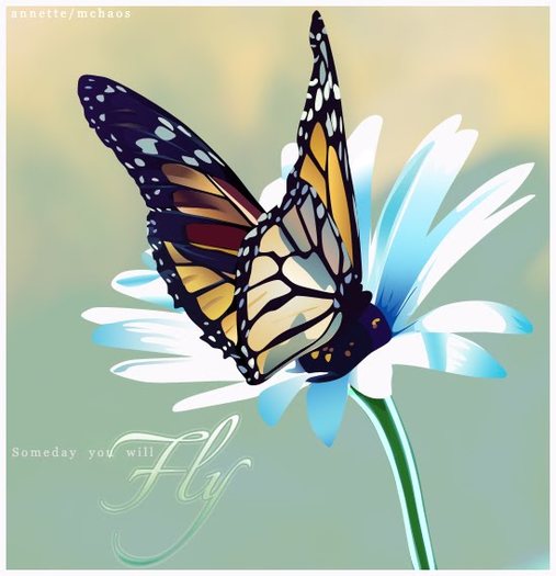 Monarch_Butterfly_by_MChaos07 - wallpapere artistice fluturi