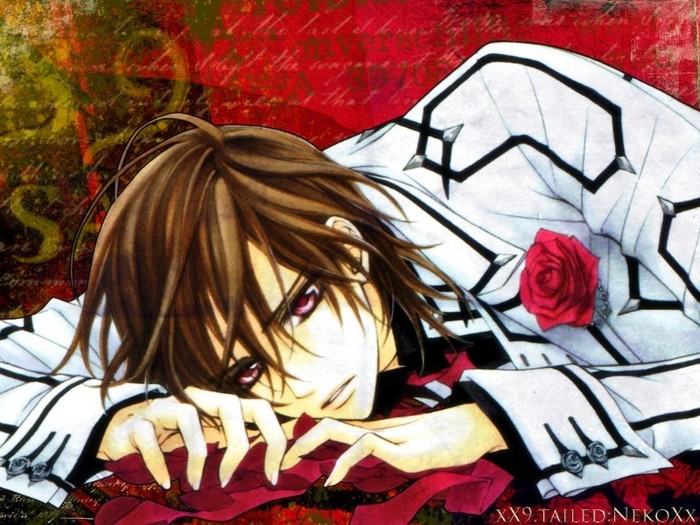 Kuran_Kaname_wallpaper - Vampire Knight