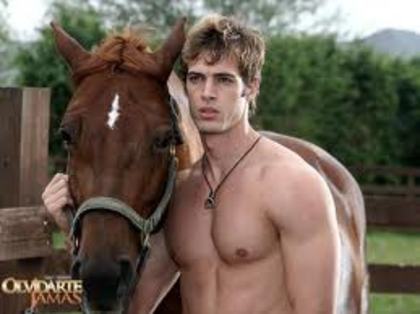 images (96) - William Levy