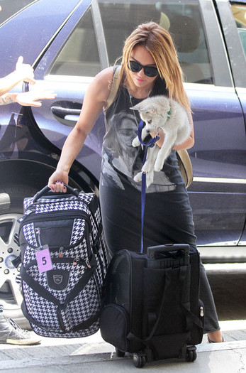 Miley Cyrus Miley Cyrus Catching Flight LAX BnMKTDlpW95l - Miley Cyrus