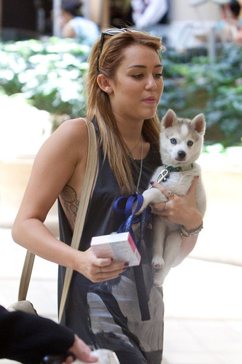 Miley Cyrus Miley Cyrus Catching Flight LAX cG3kjyv7xUZl