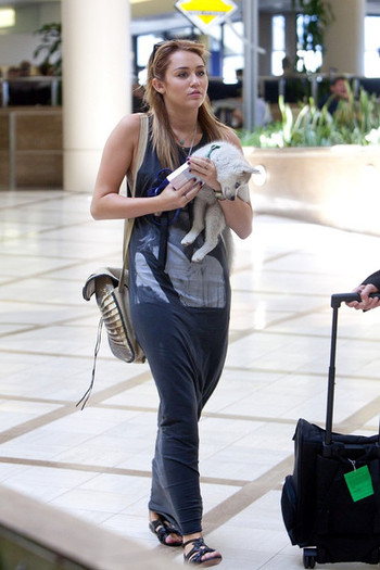 Miley Cyrus Miley Cyrus Catching Flight LAX mp-cfIGW5lXl